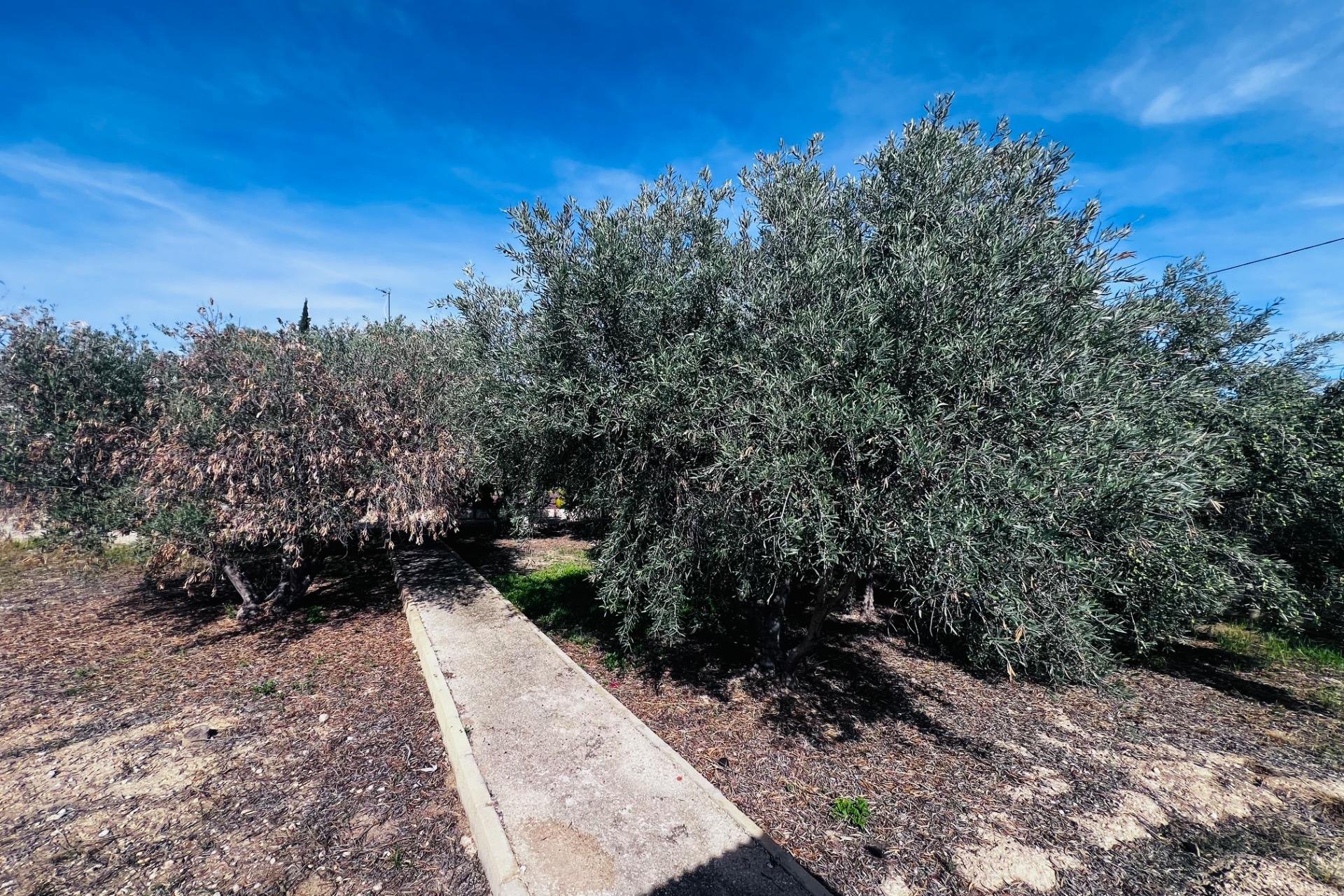 Reventa - Chalet - Peña las aguilas - Peña de Las Águilas