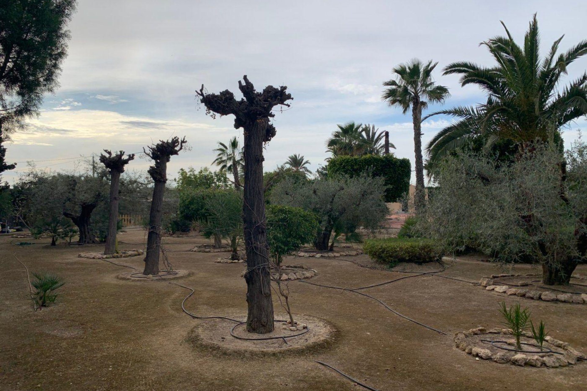 Reventa - Chalet - Perleta - Maitino-Perleta