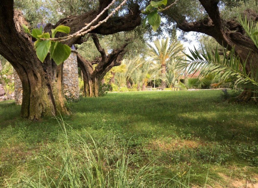 Reventa - Chalet - Valverde (Alicante) - Valverde