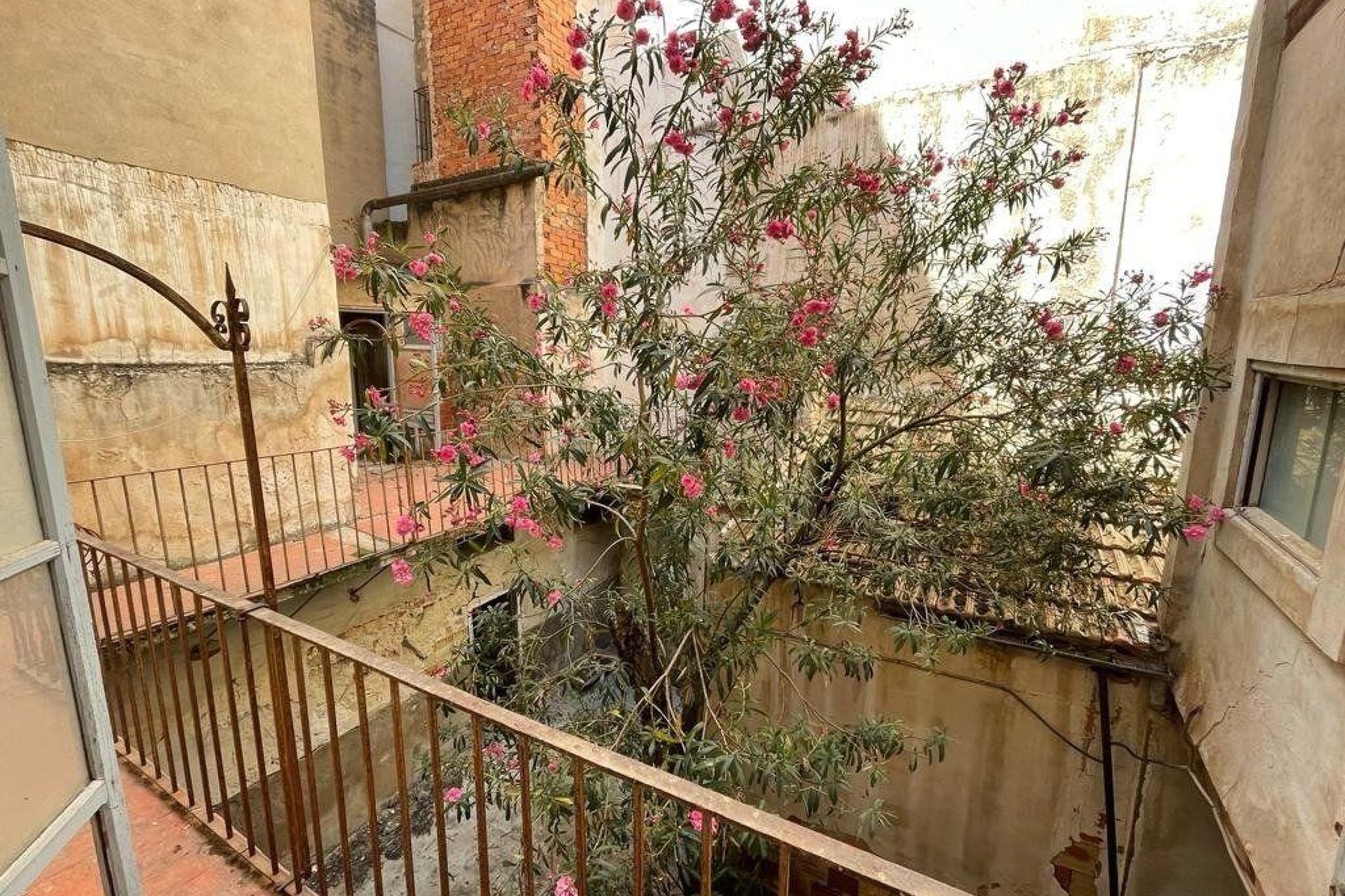 Reventa - Edificio - Elche - Centro