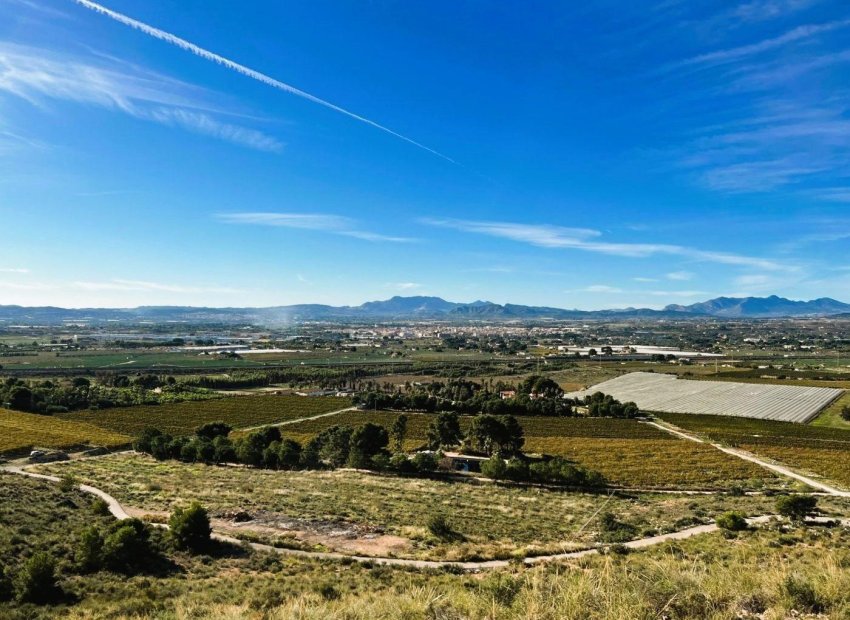 Reventa - Finca rústica - Novelda - SERRETA