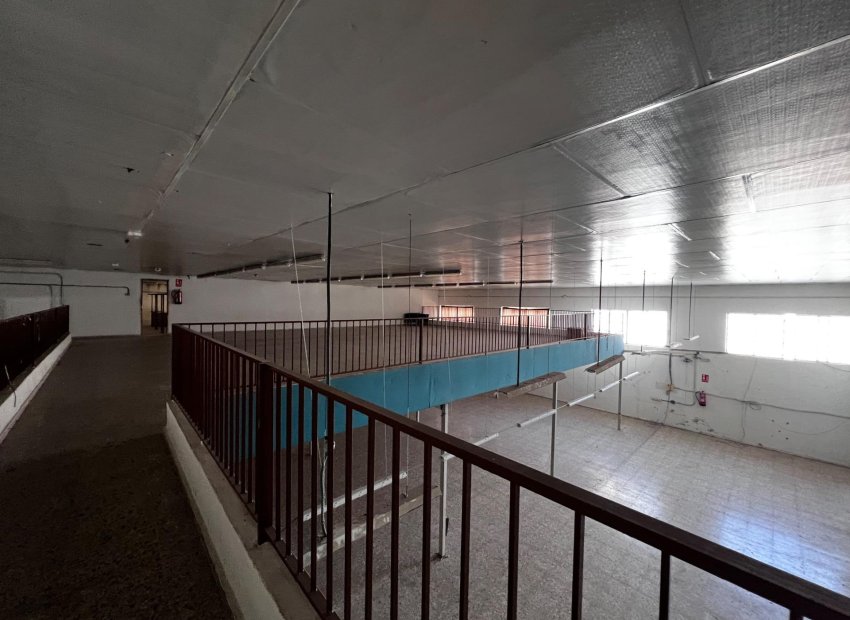 Reventa - Nave industrial - Albatera - Pueblo 11