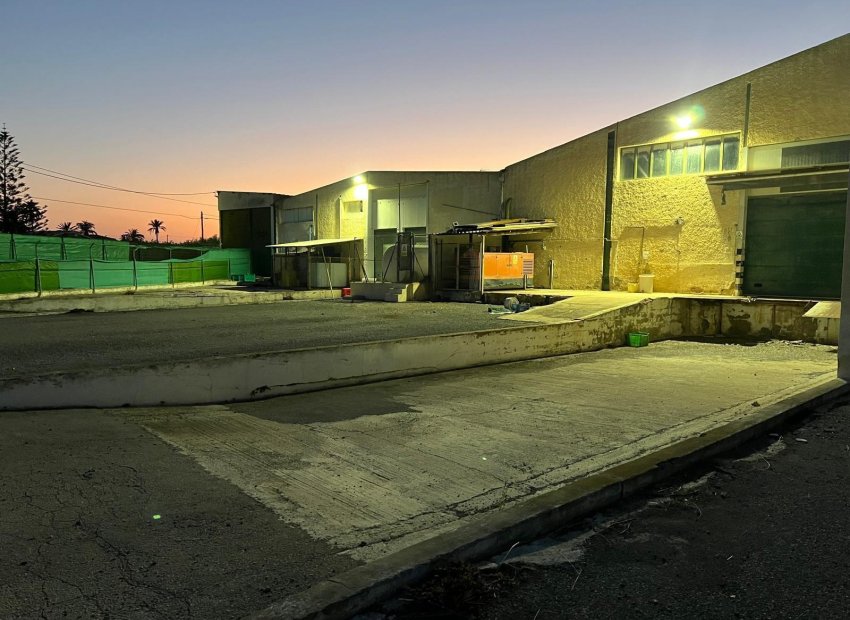 Reventa - Nave industrial - Elche