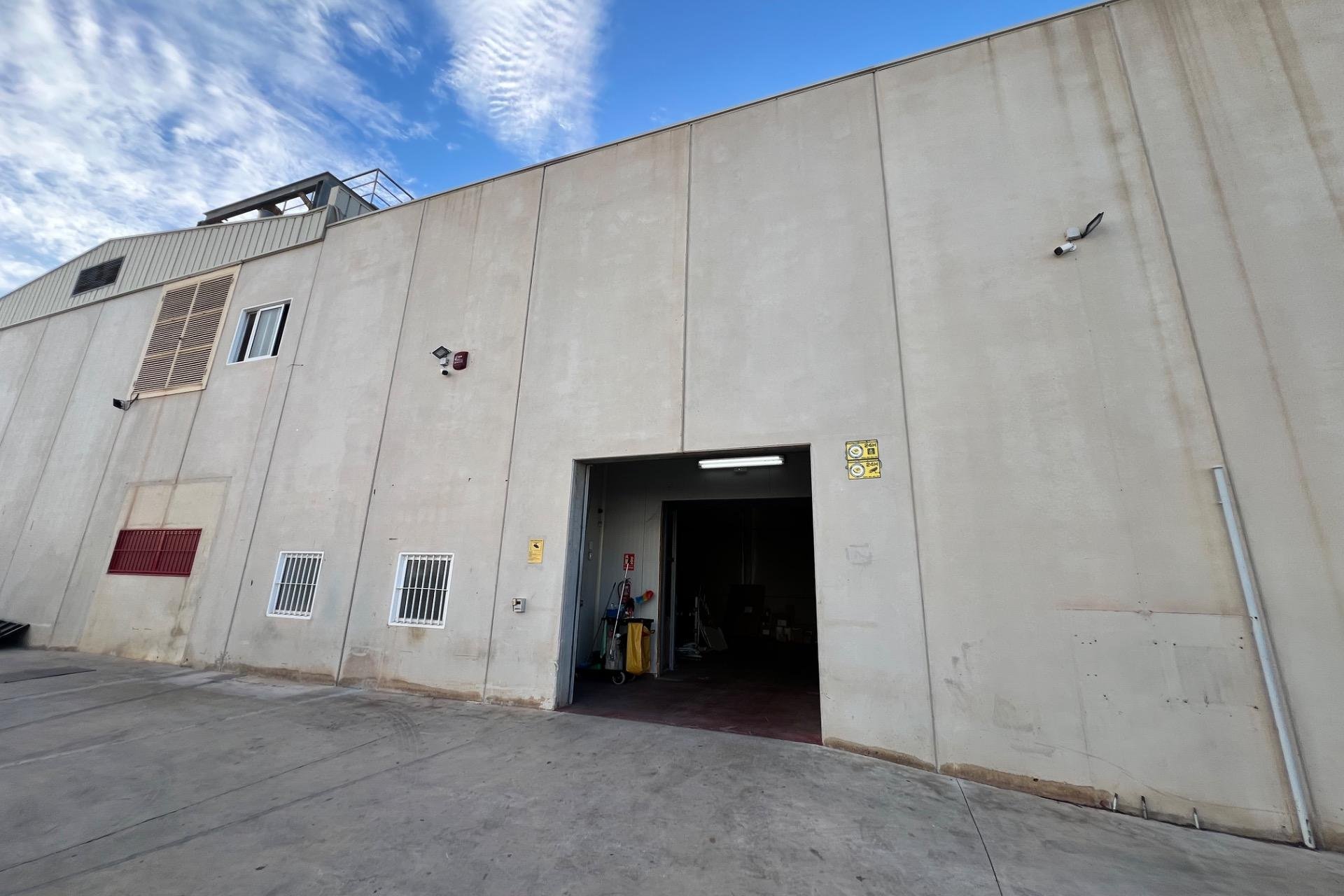 Reventa - Nave industrial - San Vicente del Raspeig - Haygon - Universidad