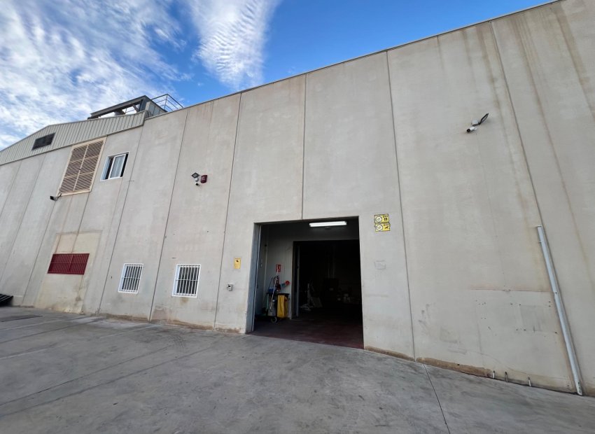 Reventa - Nave industrial - San Vicente del Raspeig - Haygon - Universidad