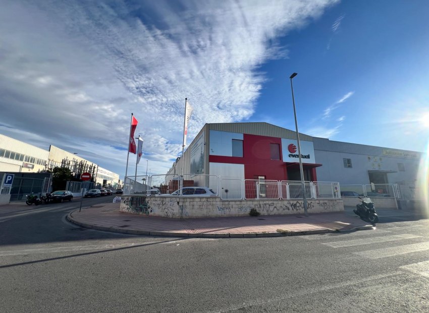 Reventa - Nave industrial - San Vicente del Raspeig - Haygon - Universidad