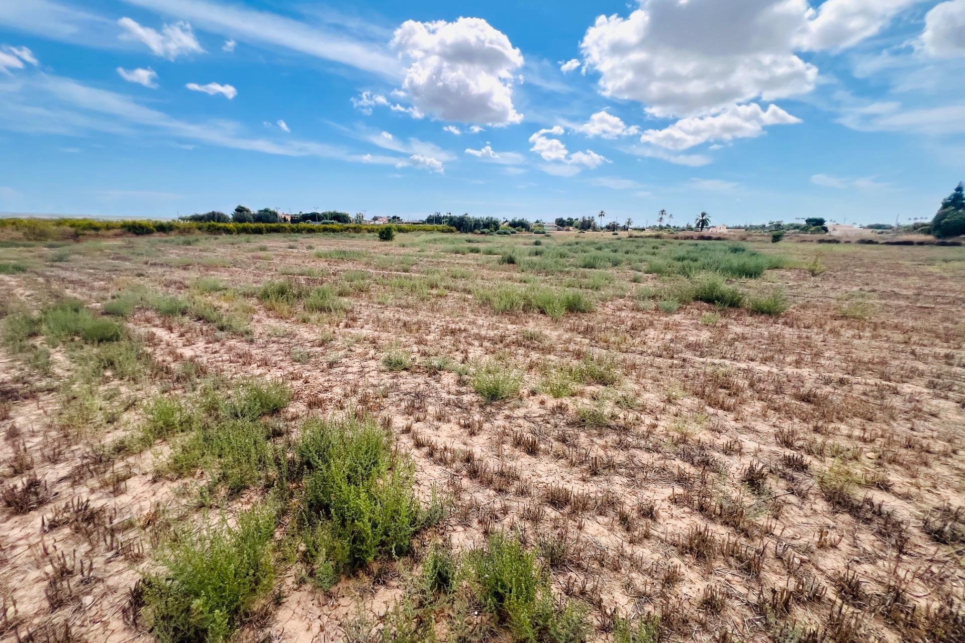 Reventa - Parcela - Valverde (Alicante) - Valverde