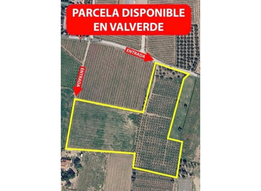 Reventa - Parcela - Valverde (Alicante) - Valverde