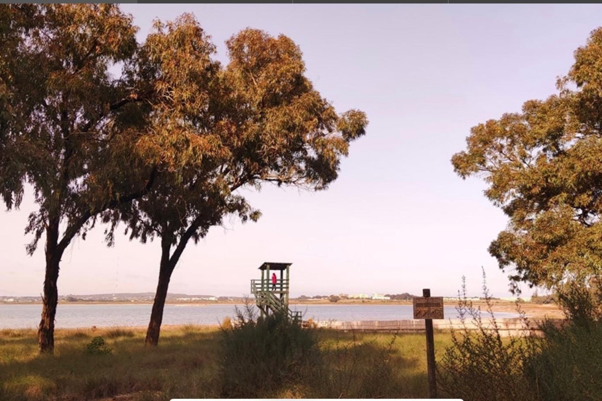 Reventa - Piso - Torrevieja - Playa de la mata