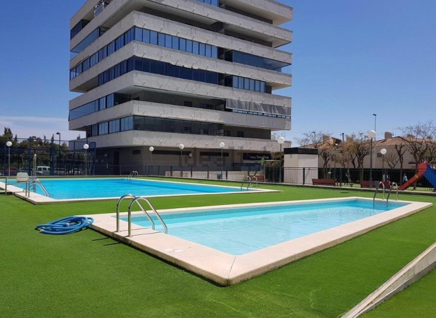 Reventa - Planta baja - Elche - Zona Universidad