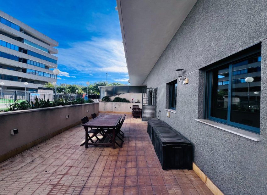 Reventa - Planta baja - Elche - Zona Universidad