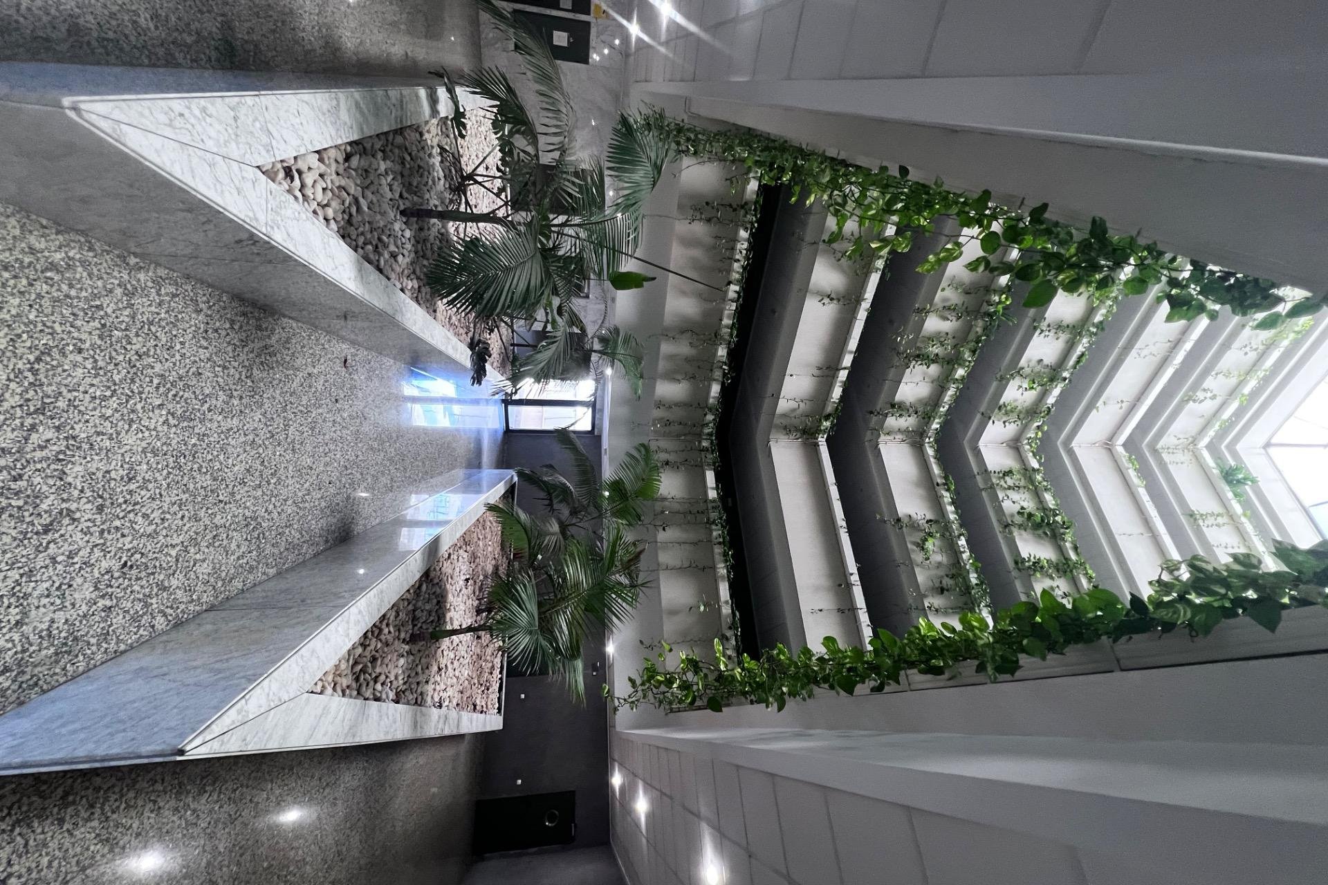 Reventa - Planta baja - Elche - Zona Universidad