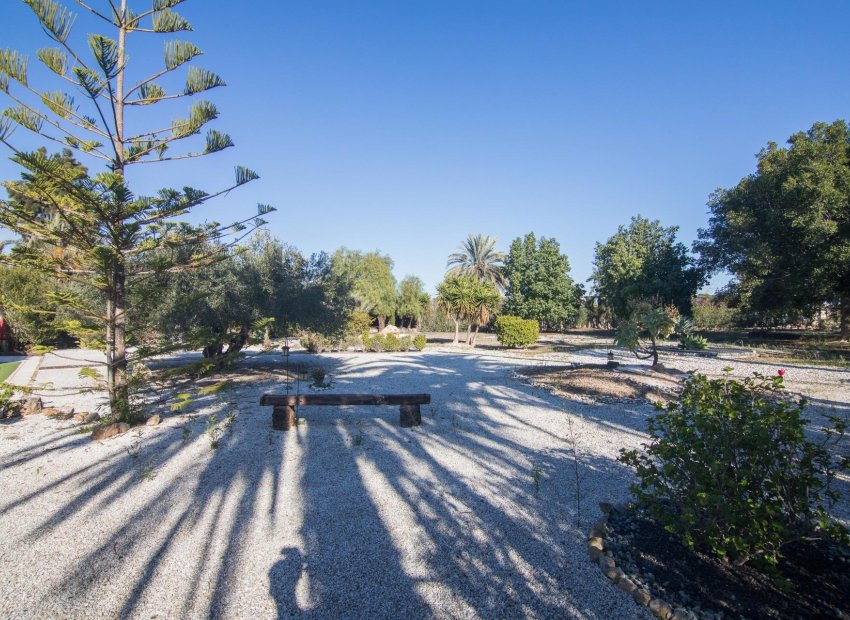 Reventa - Villa - Elche Pedanías - xLas bayas