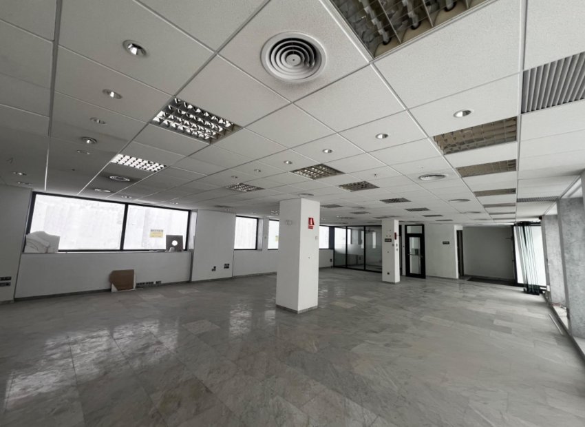 Wynajem długoterminowy - Local comercial - Elche - Asilo - Pisos Azules