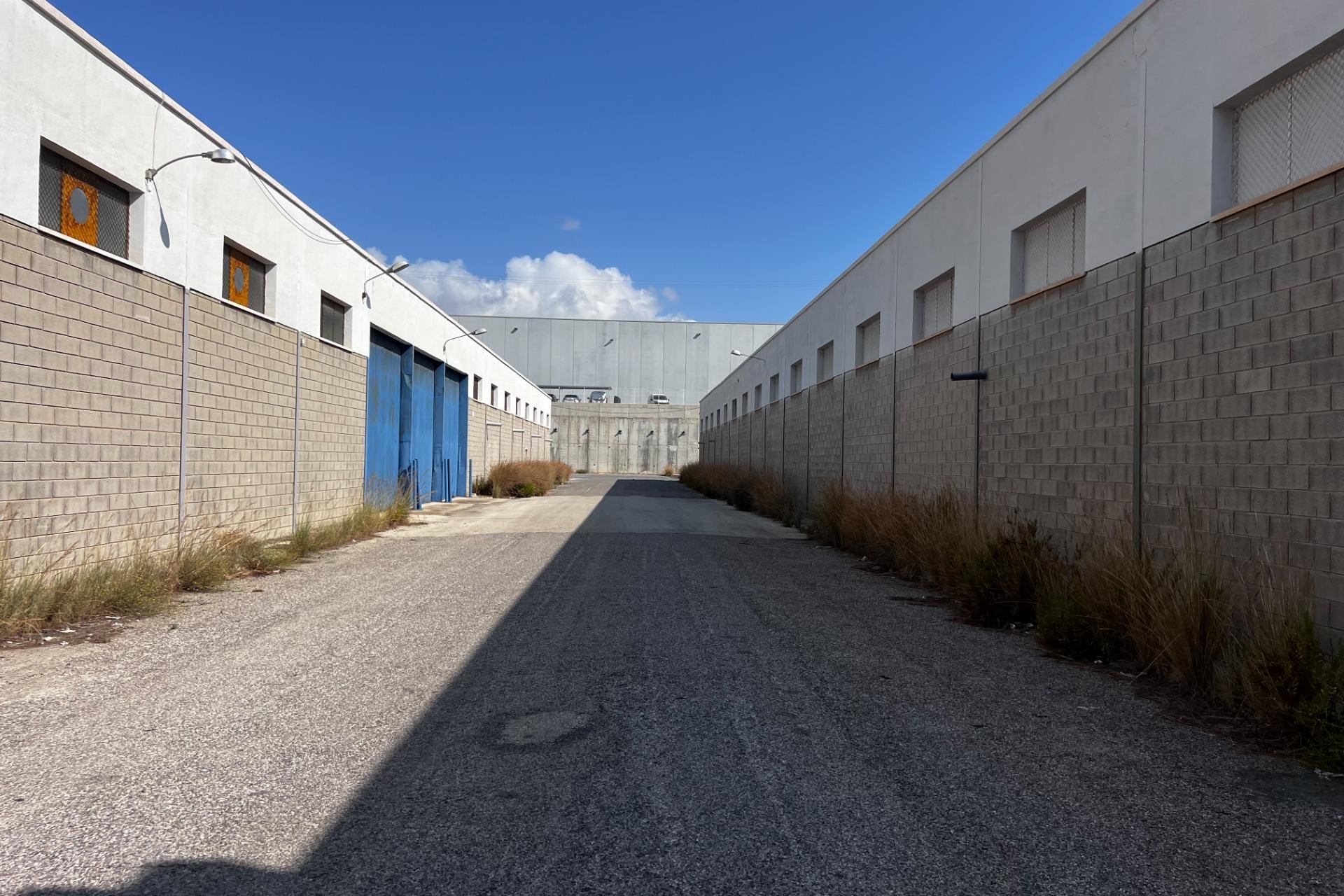 Wynajem długoterminowy - Nave industrial - Alicante - El Palmeral-Urbanova-Tabarca