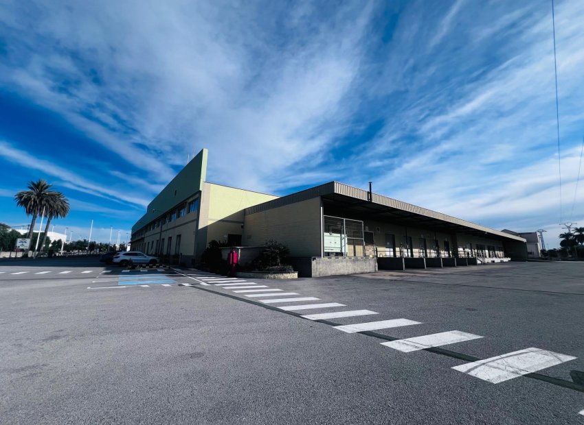 Wynajem długoterminowy - Nave industrial - Elche Pedanías - Matola