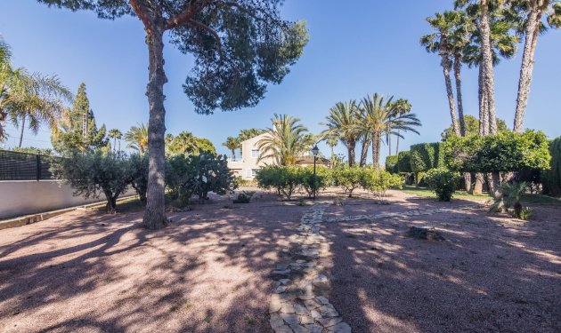 Reventa - Chalet - Elche Pedanías - Valverde