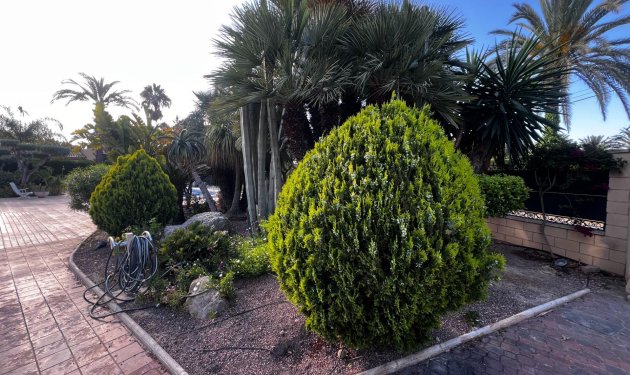 Herverkoop - Chalet - Elche Pedanías - Valverde