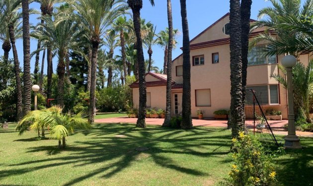 Resale - Chalet - Elche Pedanías - Alzabares