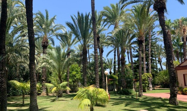 Resale - Chalet - Elche Pedanías - Alzabares