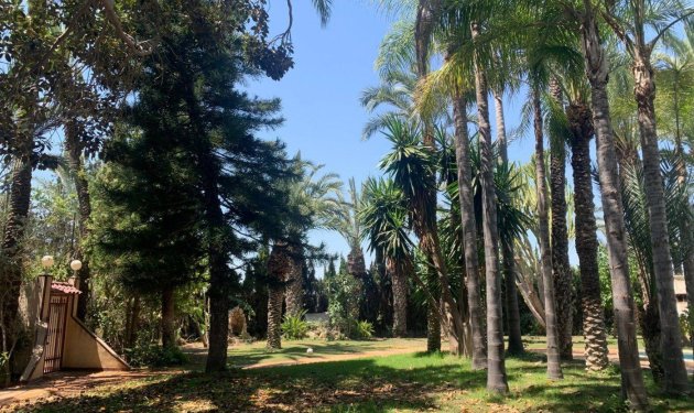 Resale - Chalet - Elche Pedanías - Alzabares