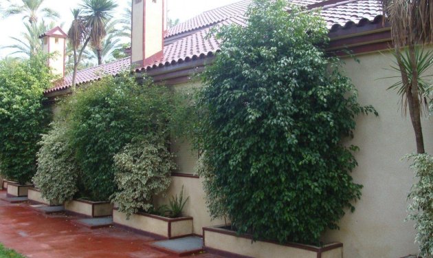 Resale - Chalet - Elche Pedanías - Alzabares