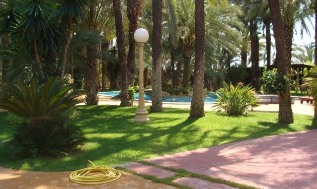 Resale - Chalet - Elche Pedanías - Alzabares