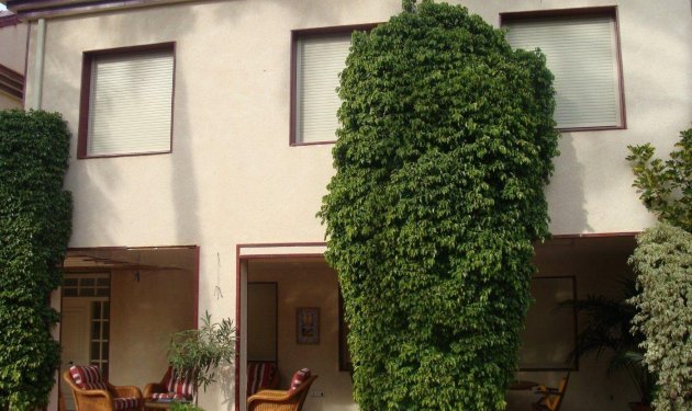 Resale - Chalet - Elche Pedanías - Alzabares