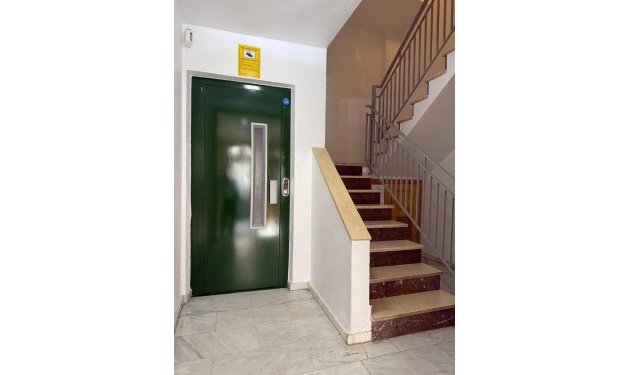 Long Term Rental - Apartament - Elche - Altabix