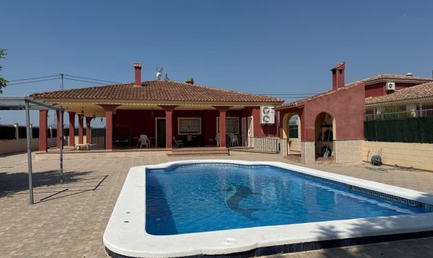 Odsprzedaż - Szalet - Albatera