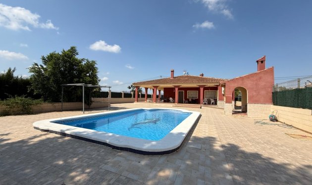 Odsprzedaż - Szalet - Albatera