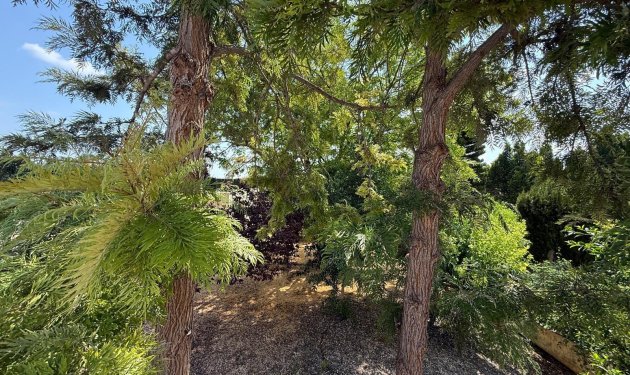 Odsprzedaż - Szalet - Albatera