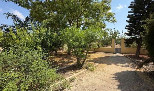 Odsprzedaż - Szalet - Albatera