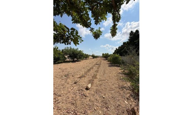 Odsprzedaż - Szalet - Albatera