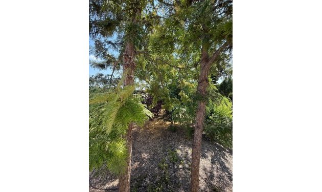 Odsprzedaż - Szalet - Albatera