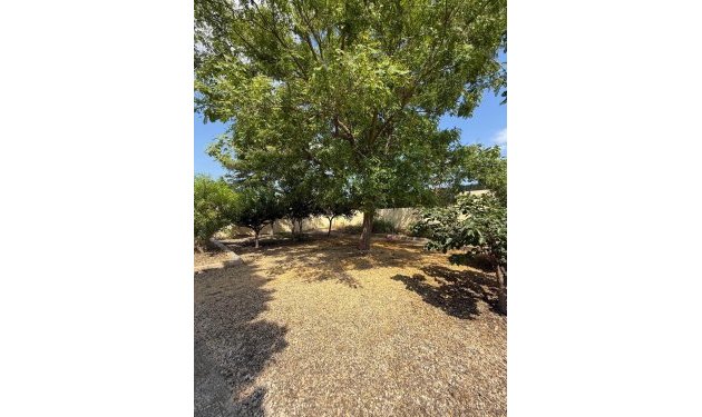 Odsprzedaż - Szalet - Albatera