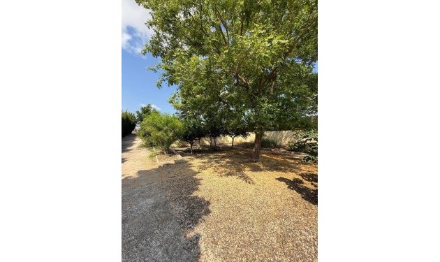 Odsprzedaż - Szalet - Albatera