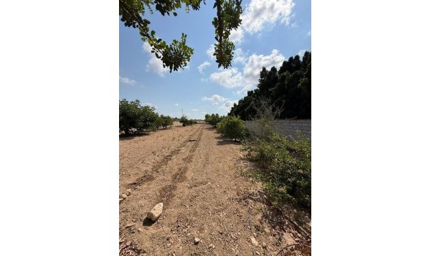 Odsprzedaż - Szalet - Albatera