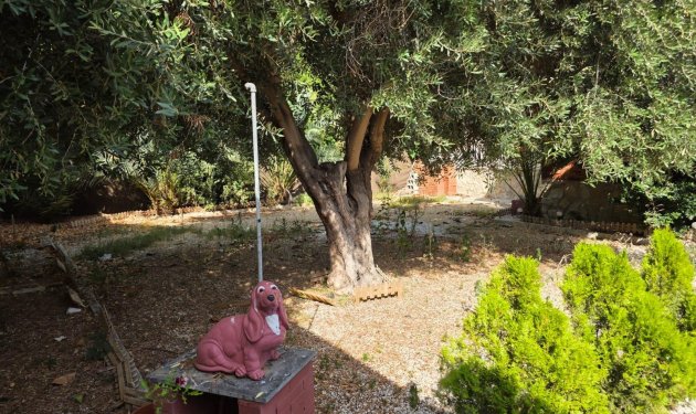 Resale - Chalet - Alicante - La Albufereta