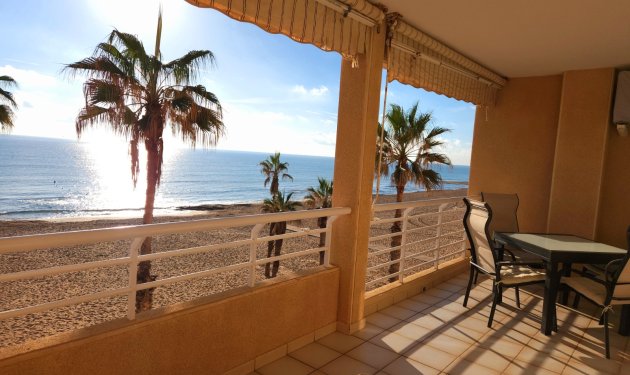 Resale - Apartament - La Mata - Centro/PLAYA