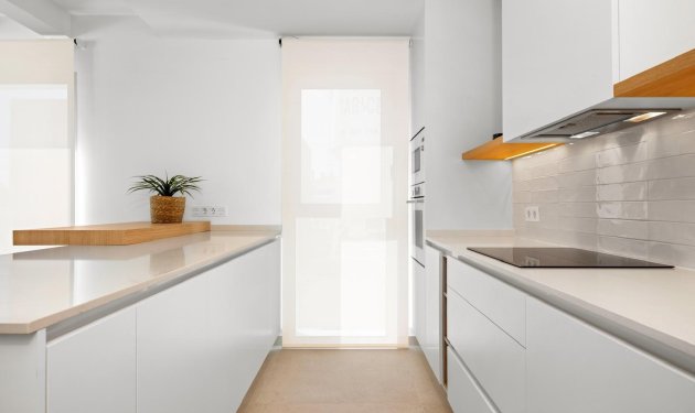 Obra nueva - Villa - Benijofar