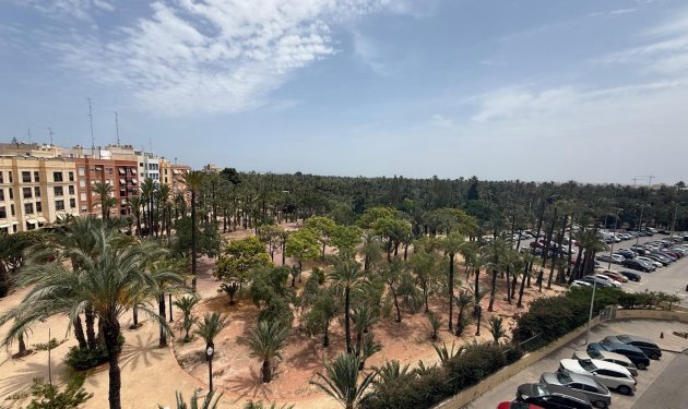 Resale - Piso - Elche - Centro