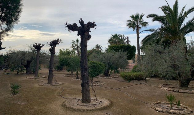 Resale - Chalet - Perleta - Maitino-Perleta