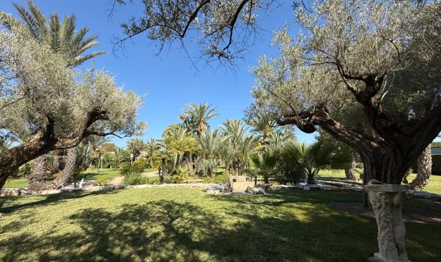 Resale - Chalet - Valverde (Alicante) - Valverde