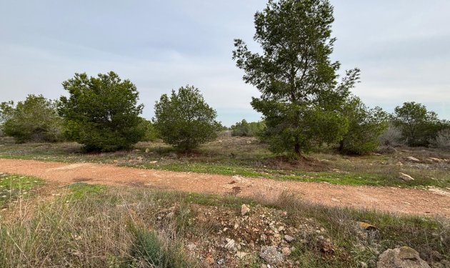 Resale - Bungalow - Torrevieja - El chaparral