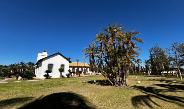 Resale - Chalet - Elche Pedanías - Maitino