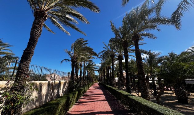 Resale - Chalet - Elche Pedanías - Maitino