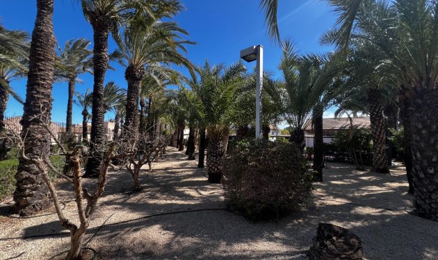 Resale - Chalet - Elche Pedanías - Maitino