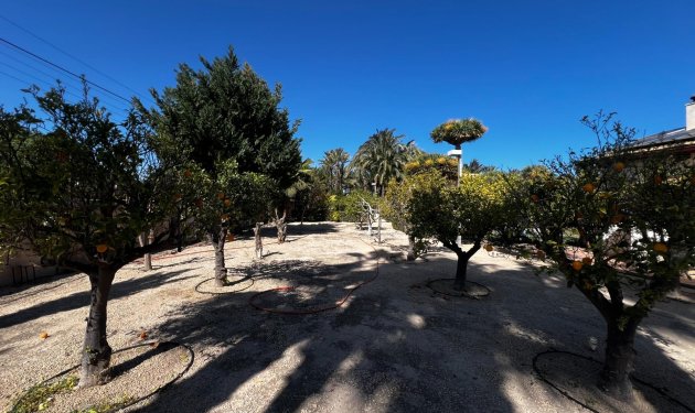 Resale - Chalet - Elche Pedanías - Maitino