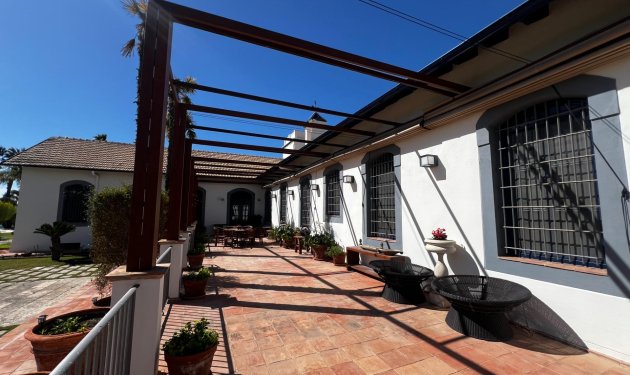 Resale - Chalet - Elche Pedanías - Maitino